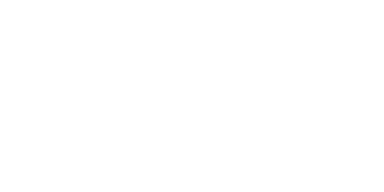 Dynamis
